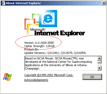 About Internet Explorer